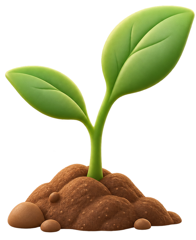 Growing plant representing sadaqah jariyah